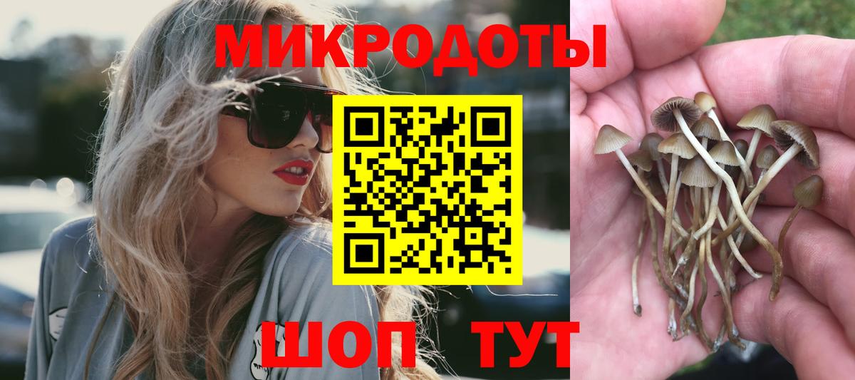 Галлюциногенные грибы Psilocybe Жуковский